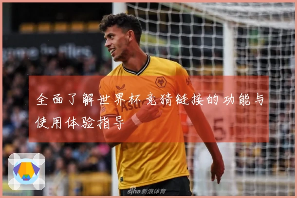 全面了解世界杯竞猜链接的功能与使用体验指导