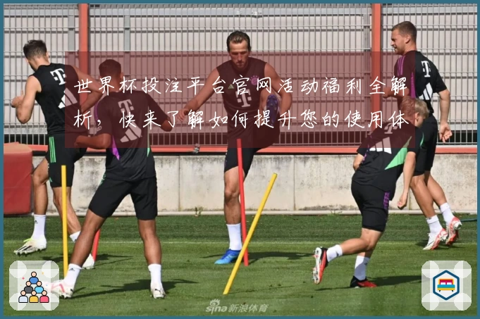 世界杯投注平台官网活动福利全解析，快来了解如何提升您的使用体验！