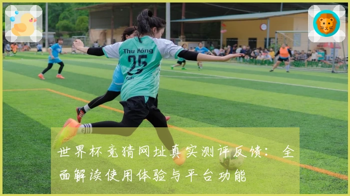 世界杯竞猜网址真实测评反馈：全面解读使用体验与平台功能