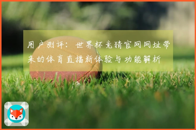 用户测评：世界杯竞猜官网网址带来的体育直播新体验与功能解析