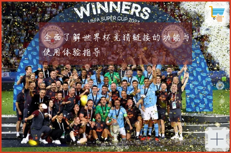 全面了解世界杯竞猜链接的功能与使用体验指导