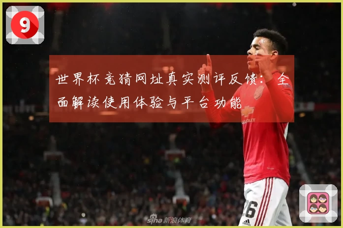 世界杯竞猜网址真实测评反馈：全面解读使用体验与平台功能